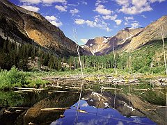 Beaver Pond, Lundy Canyon, Sierra Nevada Range, California